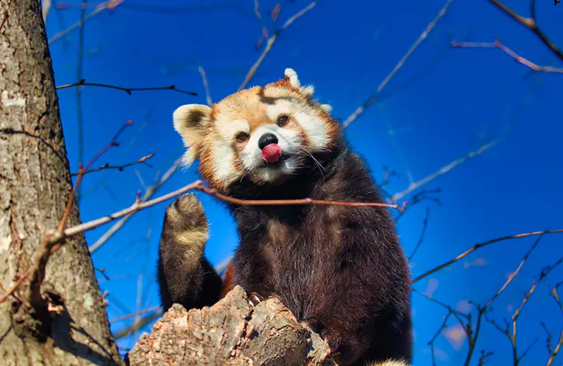サマーナイトZOO in 茶臼山